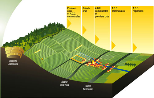 schemat appellation